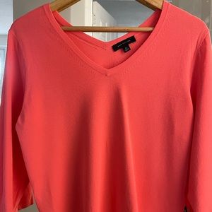 Ann Taylor V-neck Sweater